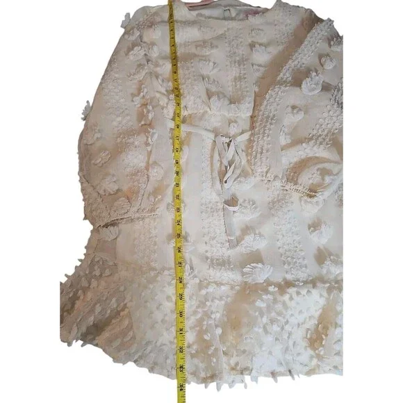 Pink Lily Long Shear Balloon Sleeves Swiss Dot Dress Beige Women Sz M Lined - Picture 11 of 11